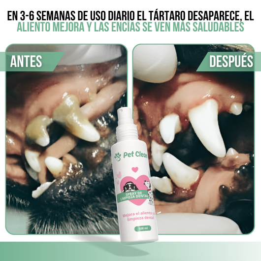 PetClean™ — Dientes Limpios, Sin Cepillo y Sin Veterinario.